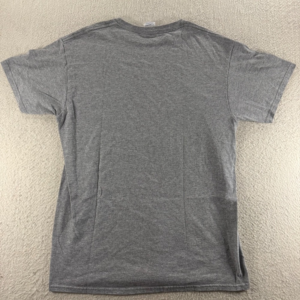 Delta T-Shirt Mens Medium Gray Niagara Falls 2018 USA Flag Graphic Steetwear - Picture 2 of 8
